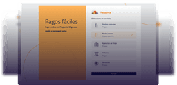 project Paypunta